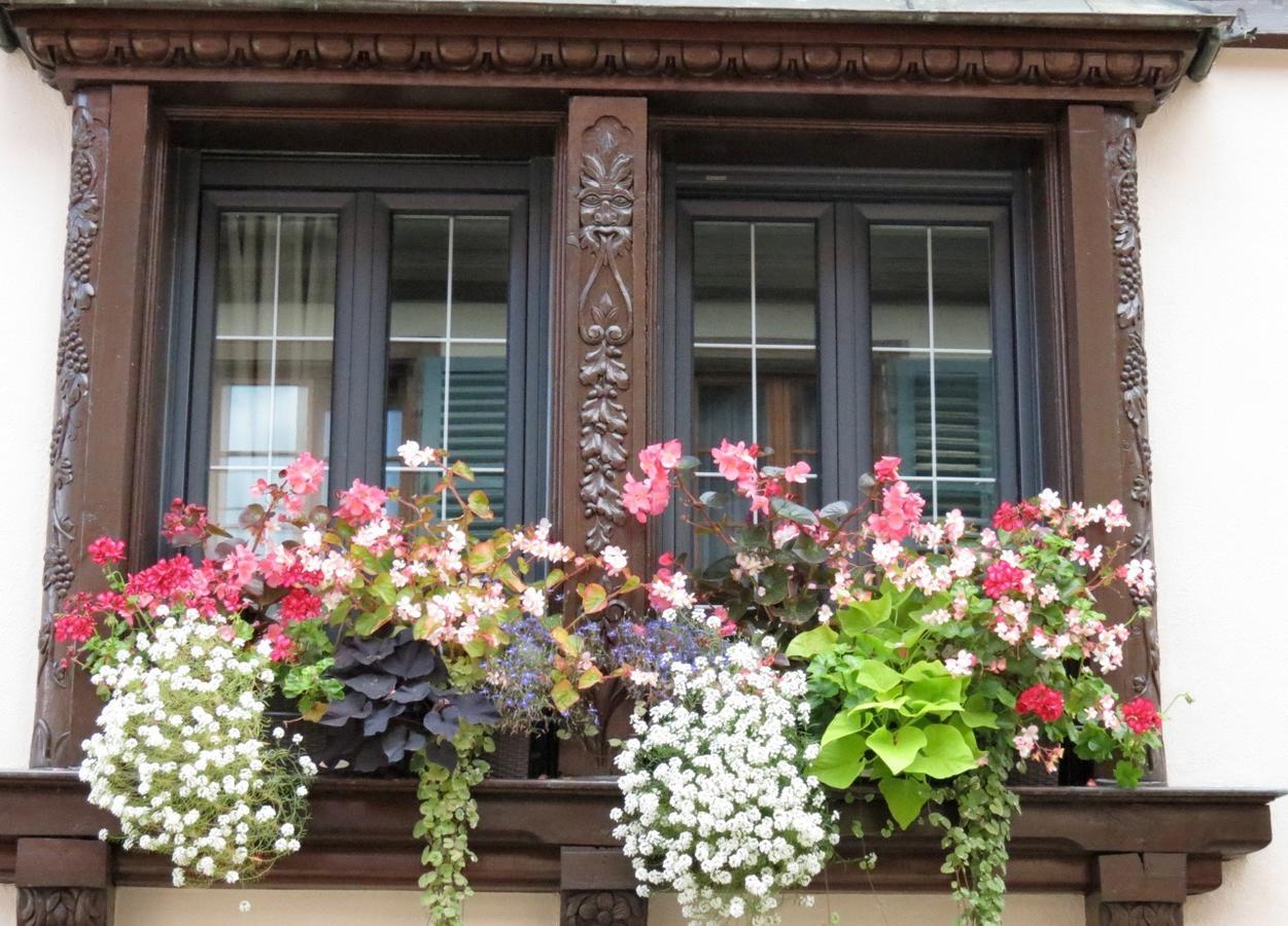 Gîte FLEUR DE VIGNES Itterswiller Extérieur photo